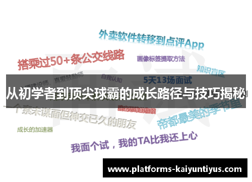 从初学者到顶尖球霸的成长路径与技巧揭秘