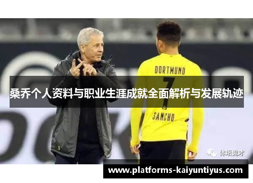 桑乔个人资料与职业生涯成就全面解析与发展轨迹