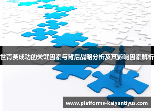 世青赛成功的关键因素与背后战略分析及其影响因素解析