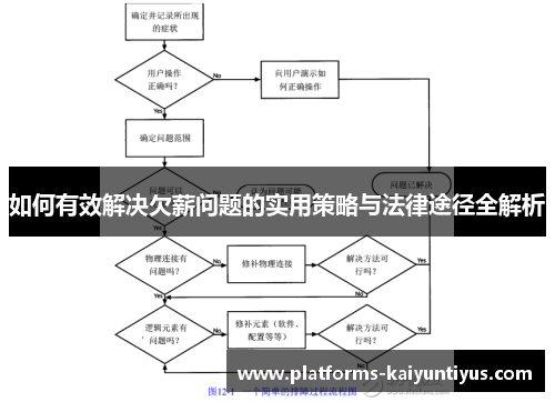 如何有效解决欠薪问题的实用策略与法律途径全解析