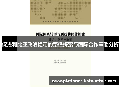促进利比亚政治稳定的路径探索与国际合作策略分析
