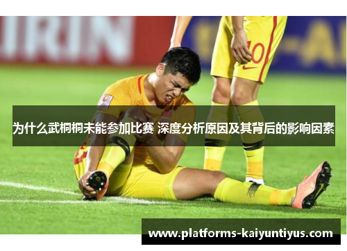 为什么武桐桐未能参加比赛 深度分析原因及其背后的影响因素