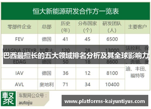 巴西最擅长的五大领域排名分析及其全球影响力
