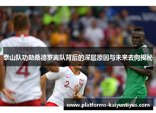 泰山队功勋桑德罗离队背后的深层原因与未来去向揭秘