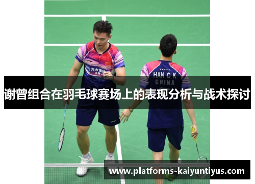 谢曾组合在羽毛球赛场上的表现分析与战术探讨