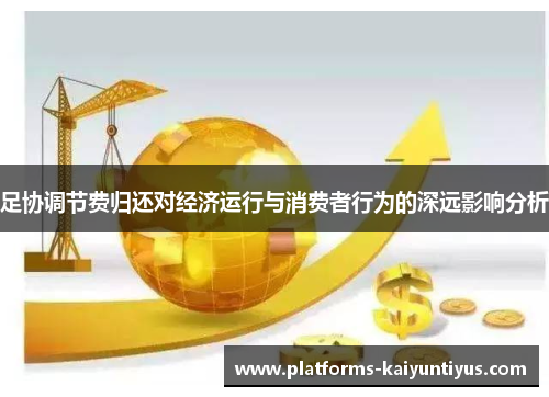 足协调节费归还对经济运行与消费者行为的深远影响分析