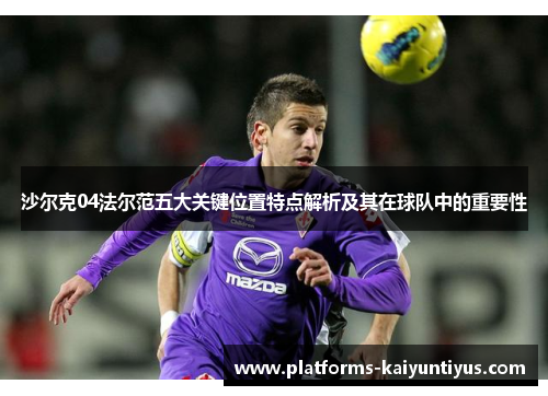 沙尔克04法尔范五大关键位置特点解析及其在球队中的重要性 沙尔克04法尔范五大关键位置特点解析及其在球队中的重要性