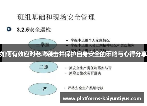 如何有效应对老鹰袭击并保护自身安全的策略与心得分享 如何有效应对老鹰袭击并保护自身安全的策略与心得分享