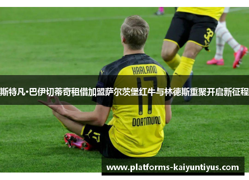 斯特凡·巴伊切蒂奇租借加盟萨尔茨堡红牛与林德斯重聚开启新征程