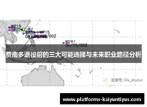 费南多退役前的三大可能选择与未来职业路径分析