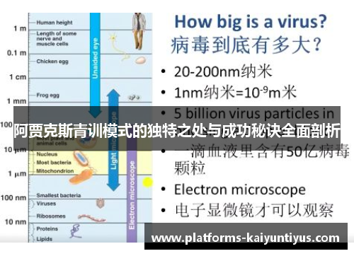 阿贾克斯青训模式的独特之处与成功秘诀全面剖析