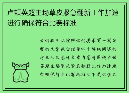卢顿英超主场草皮紧急翻新工作加速进行确保符合比赛标准
