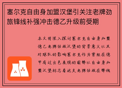 塞尔克自由身加盟汉堡引关注老牌劲旅锋线补强冲击德乙升级前受期